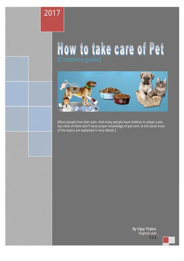 How to take care of pet?
