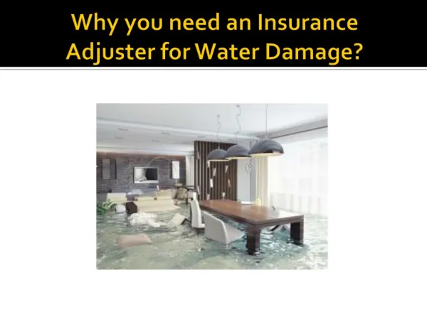 Why you need an Insurance Adjuster for Water Damage?