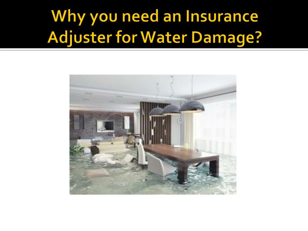 why you need an insurance adjuster for water damage