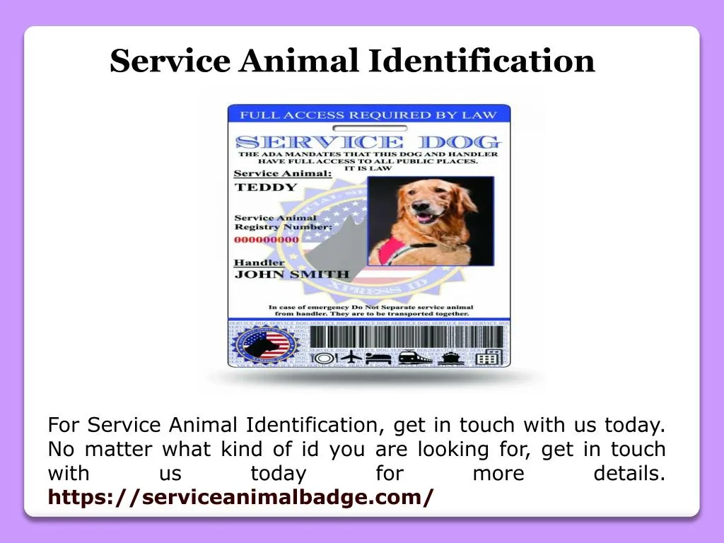 service animal identification