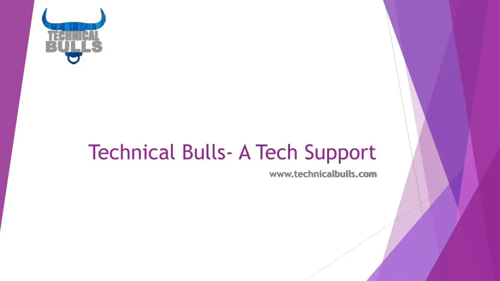 technical bulls a tech support