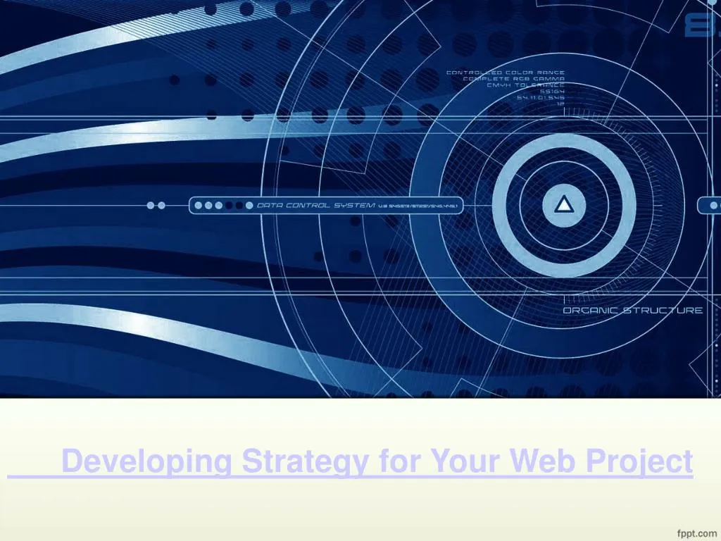 developing strategy for your web project