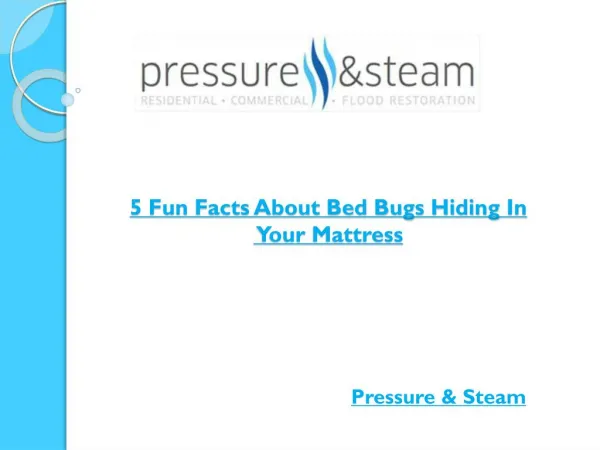 5 Fun Facts About Bed Bugs Hiding In Your Mattress