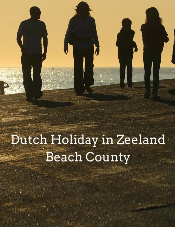 Dutch Holiday in Zeeland Beach County