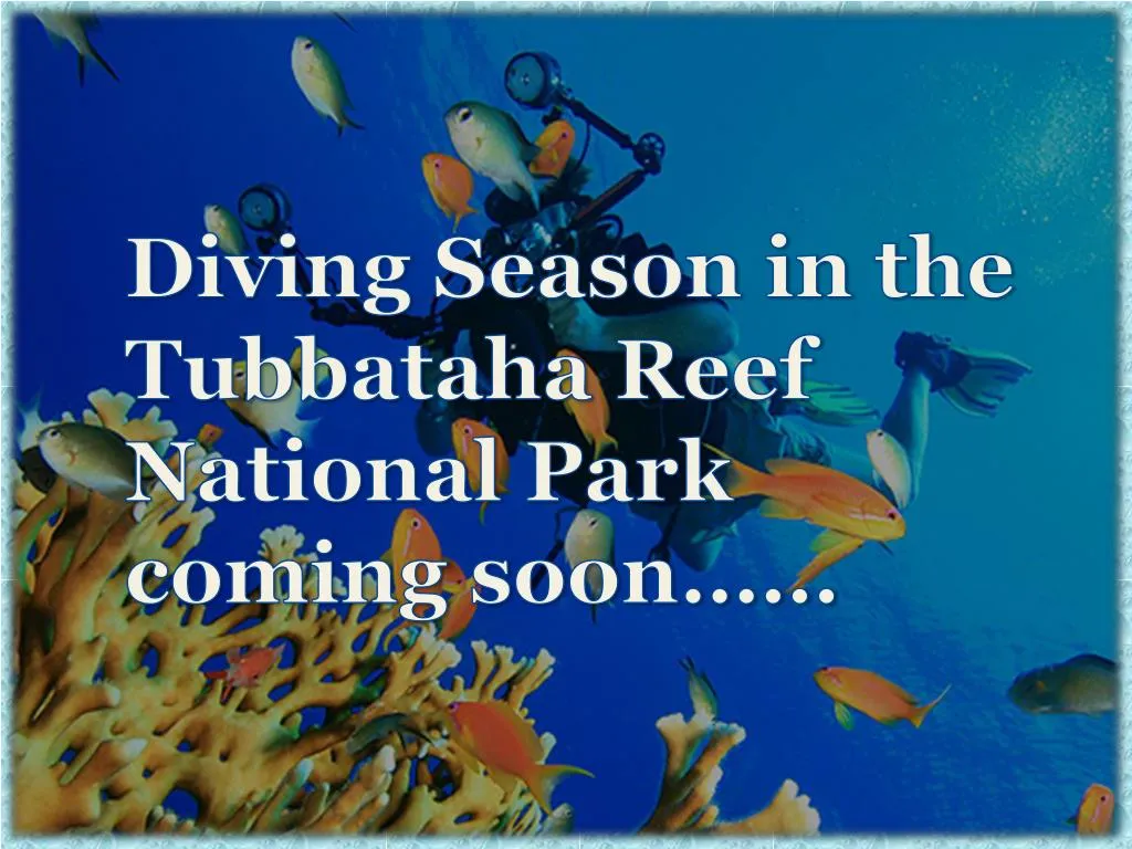 diving season in the tubbataha reef national park