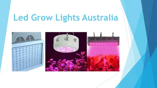 Led Grow Lights Australia