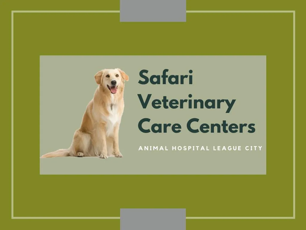 safari veterinary care centers