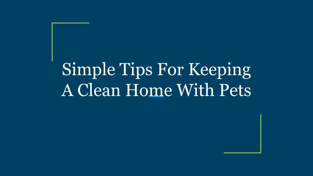 simple tips for keeping a clean home with pets