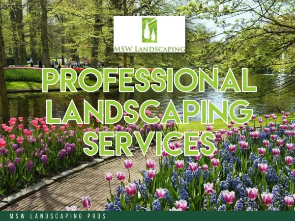 MSW Landscaping