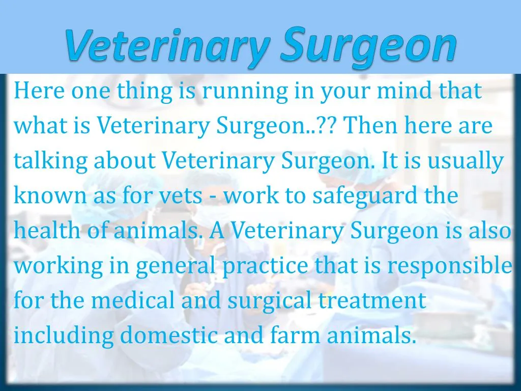 veterinary surgeon