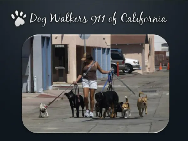 Locate Dog Walker in California at Dogwalker911.com