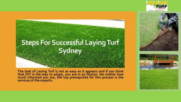 Steps for Successful Laying Turf Sydney