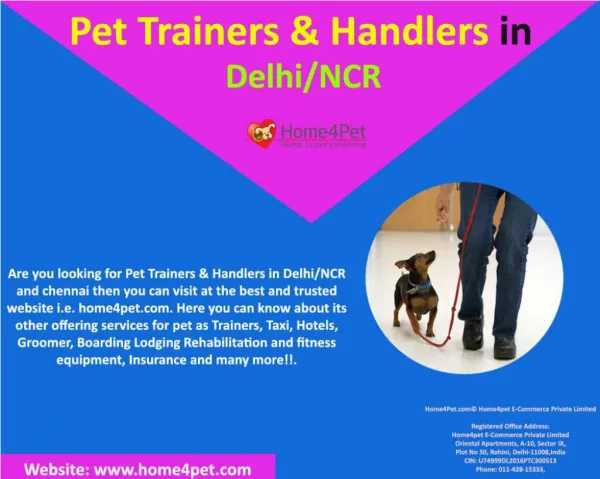 Pet Trainers & Handlers in Delhi/NCR India