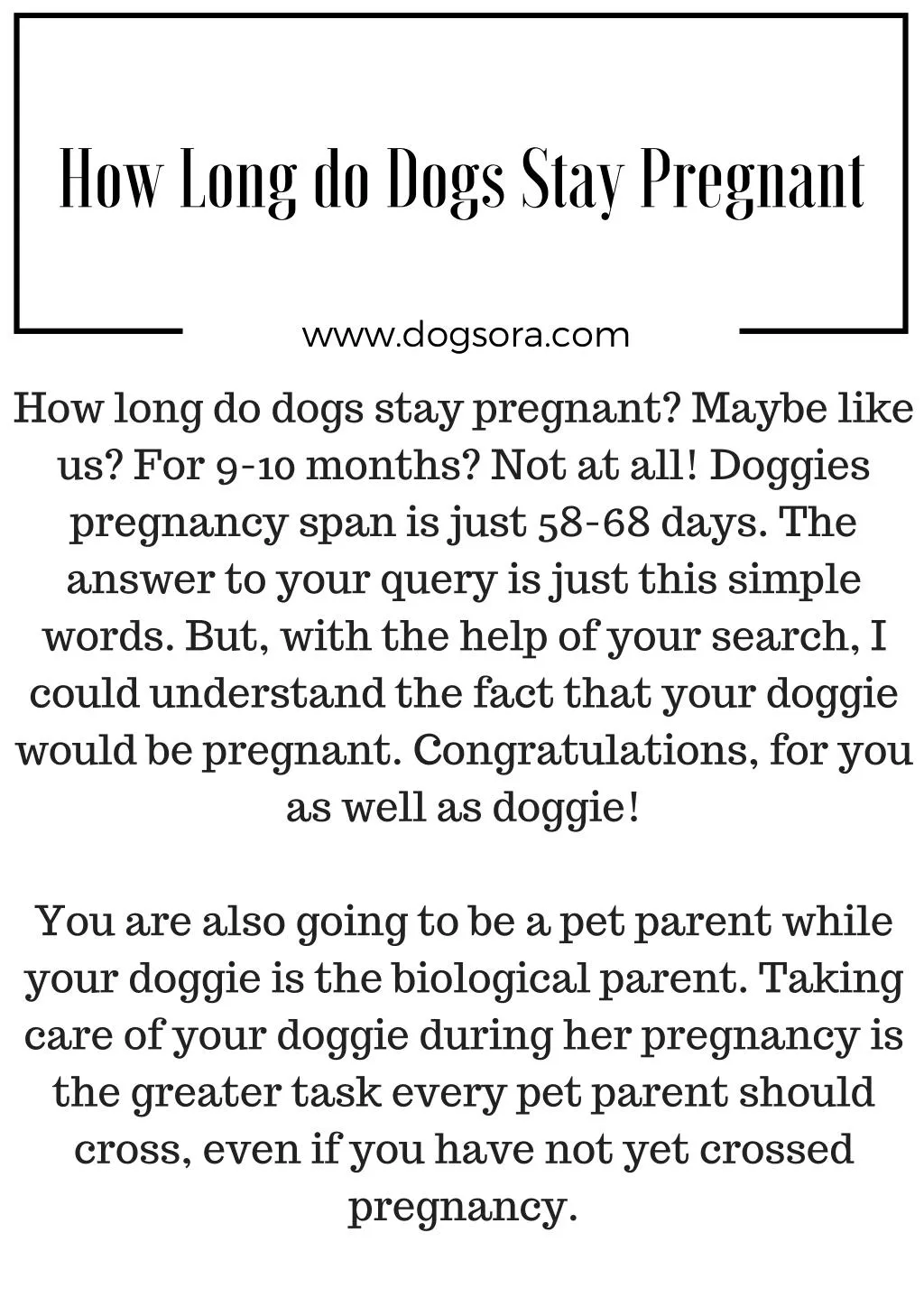 how long do dogs s t ay pregnan t