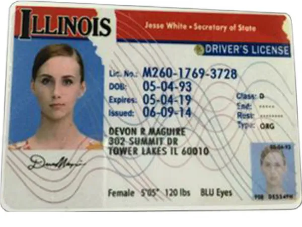 Apply Voter ID Card Online |drivers license Online 86-17195049357