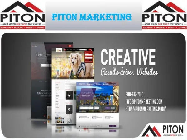 Web Development Service at Piton Marketing