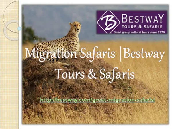 Migration Safaris |Bestway Tours & Safaris