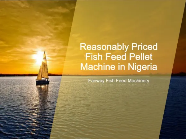 Nigeria Fish Feed Pellet Machine