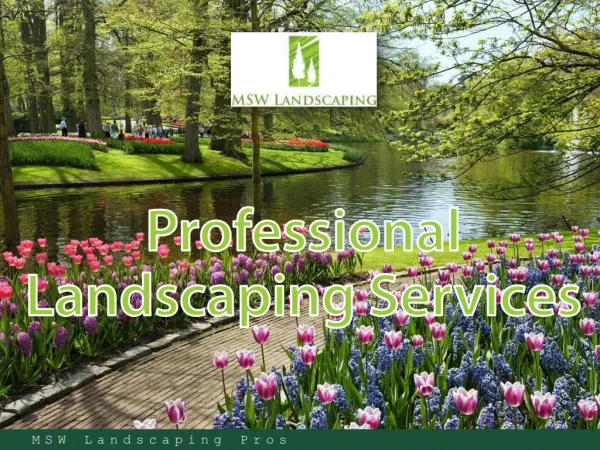 MSW Landscaping
