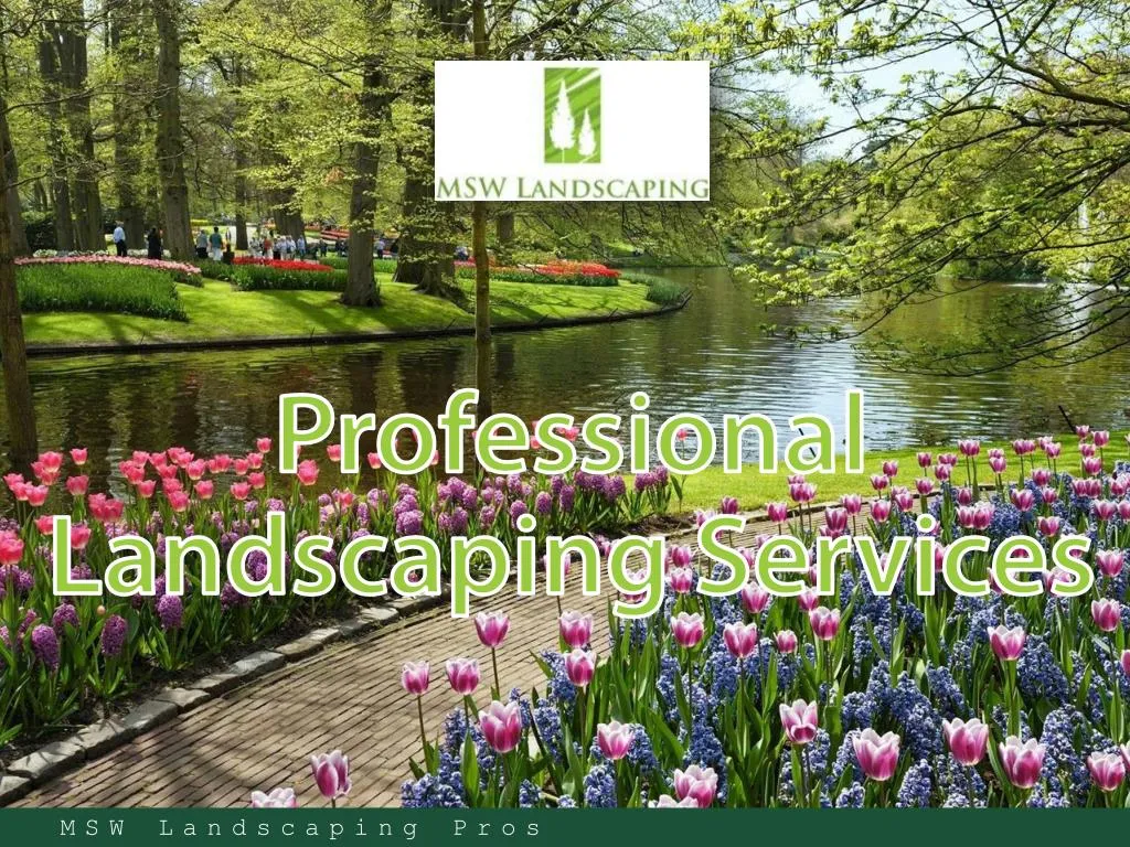 professional landscaping services