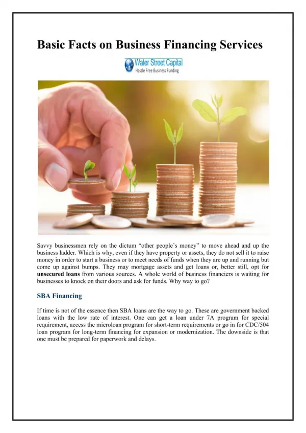 Basic Facts on Business Financing Services