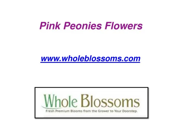 Pink Peonies Flowers - www.wholeblossoms.com