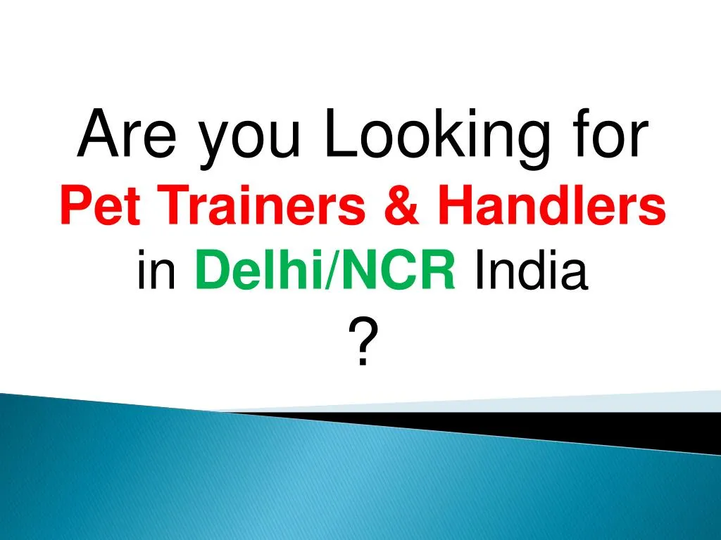 are you looking for pet trainers handlers