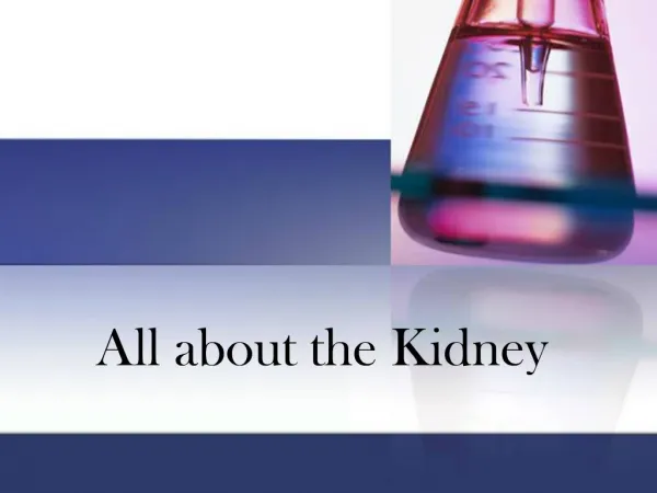 All about the Kidney