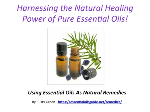 Harnessing The Therapeutic Power Of Essential Oils