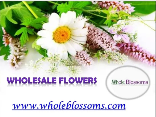 Wholesale Flowers