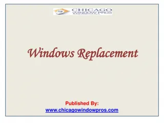 Windows Replacement