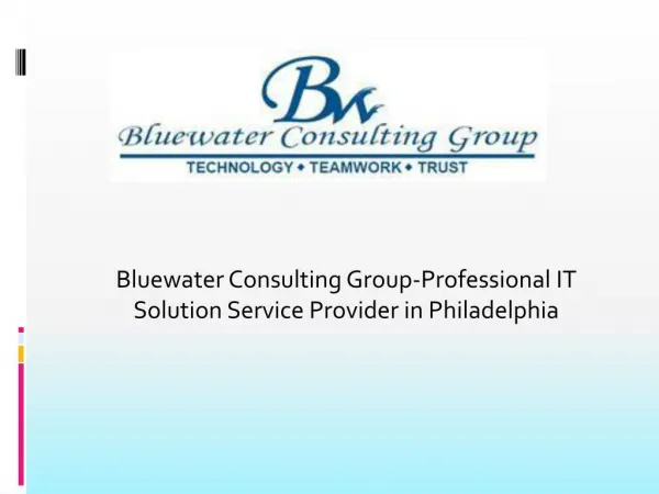 Bluewater Consulting Group-Professional IT Solution Service Provider in Philadelphia