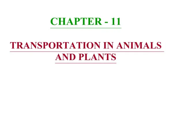 CHAPTER - 11 TRANSPORTATION IN ANIMALS AND PLANTS