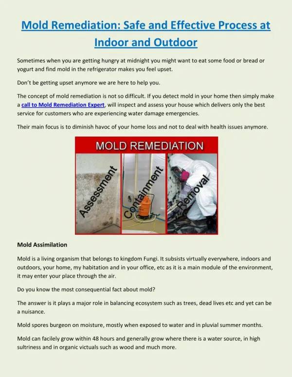 Mold Remediation: Safe and Effective Process at Indoor and Outdoor