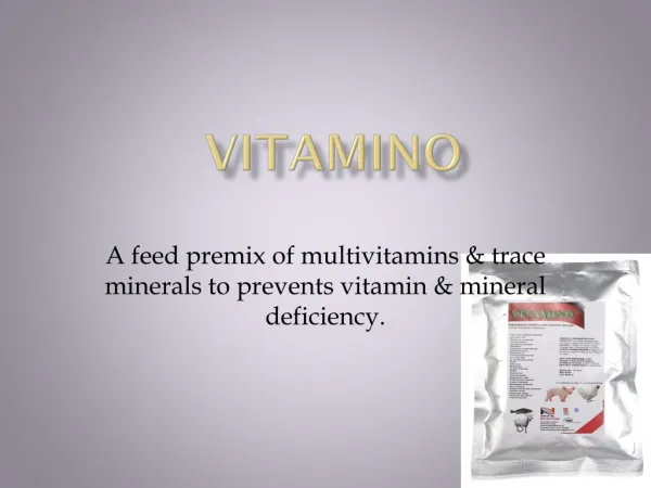 Vitamins premix poultry