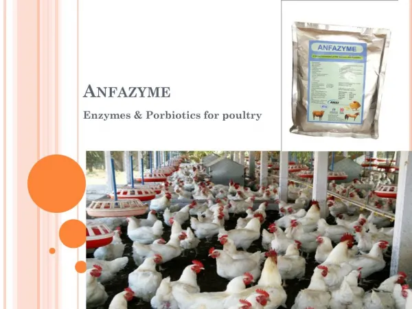Poultry feed enzymes