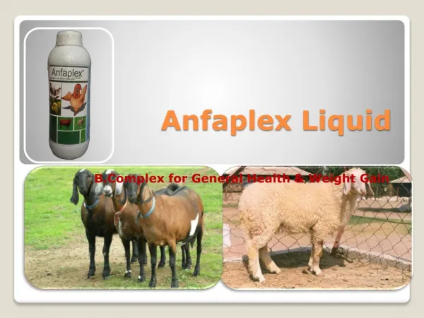 dairy goat feed supplements