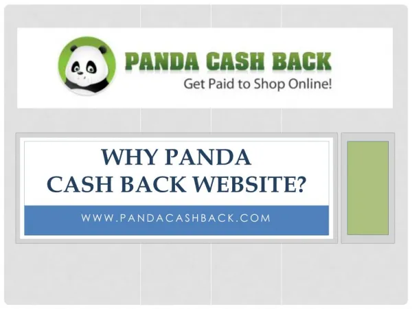 Why Panda Cash Back Website?