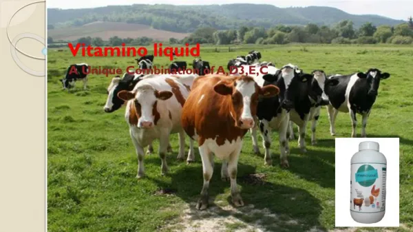 Cattle Milk Booster
