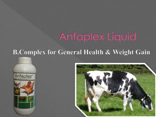 cattle feed supplements India