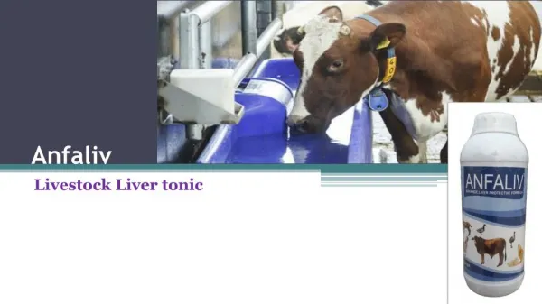 Cattle Liver tonic with Amino Power