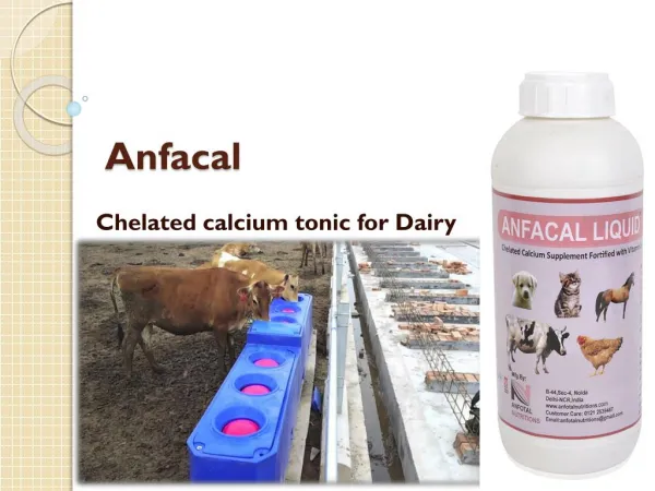 cattle calcium supplements