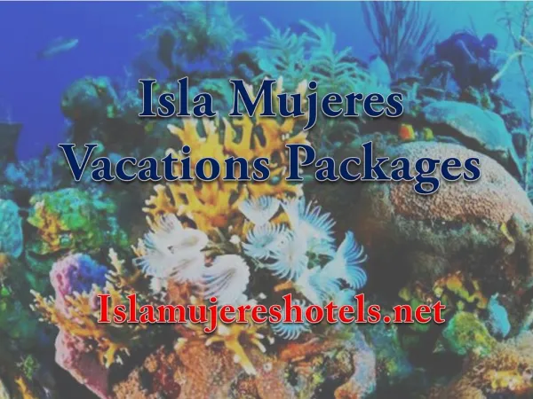 Best isla mujeres vacations packages for underwater activities