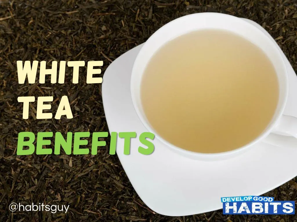 white white tea tea benefits benefits