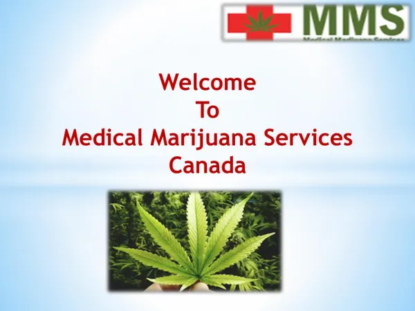 Get Best Medical Cannabis Treatment at Medical Marijuana Services Canada.