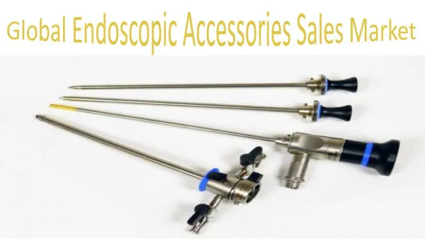 Global Endoscopic Accessories Sales Market