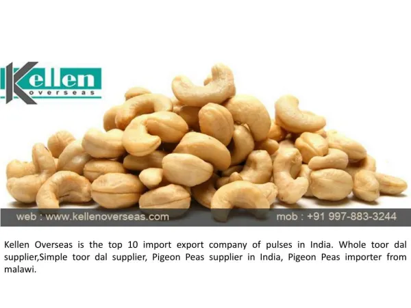 Cashew Nuts Suppliers, Manufacturers & Exporters in India | Kellen Overseas