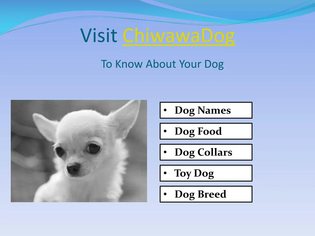 visit chiwawadog to know a bout your dog