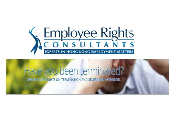 Professional Employment Law Expert Advice in Hong Kong