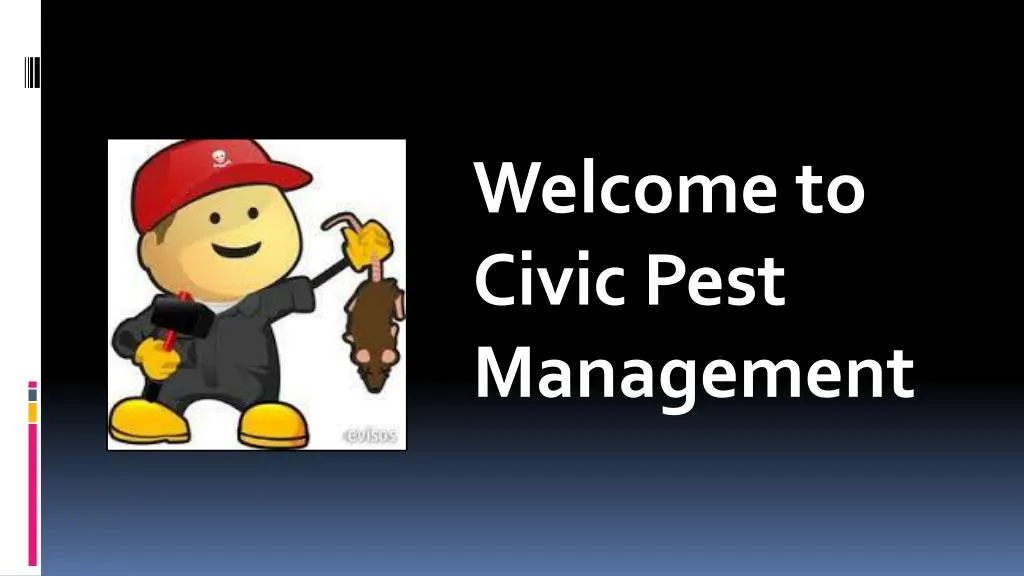 welcome to civic pest management